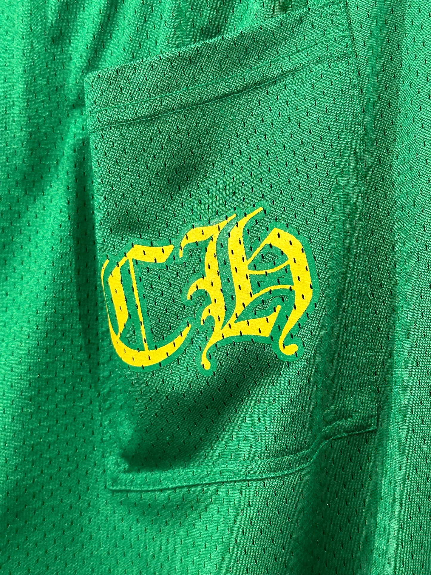 Chrome Hearts Green Floral Mesh Pants Size L