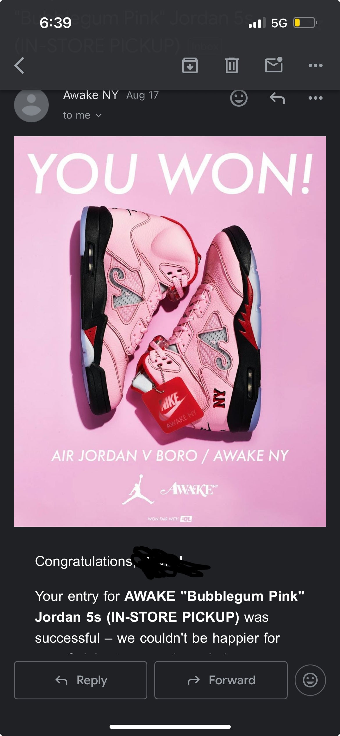 Air Jordan 5 Awake Arctic Pink Size 10.5