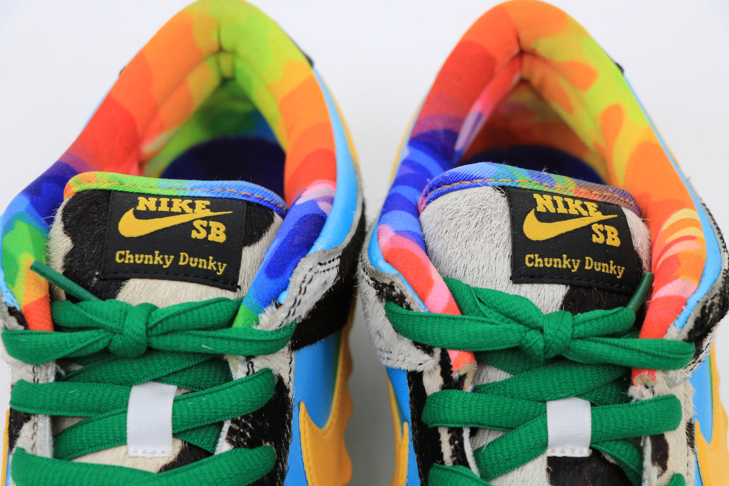 Nike SB Dunk Low Chunky Dunk Size 9.5