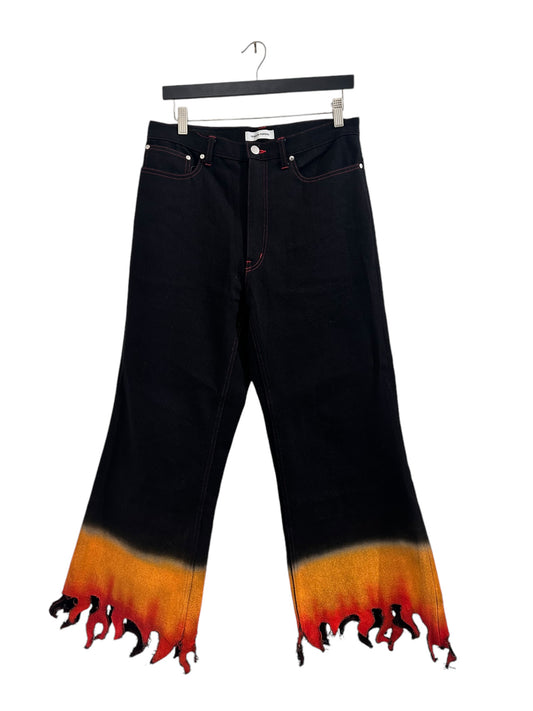 Tender Person Flame Denim Pants Size 4