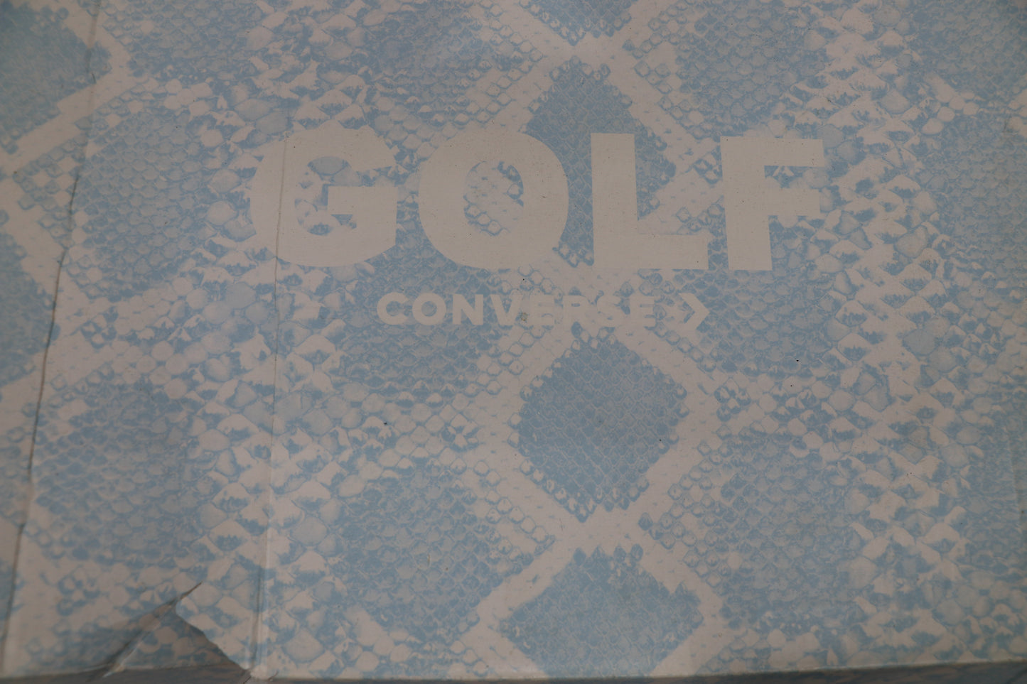 Converse Golf Wang x Chuck 70 Low Blue Python Size 12