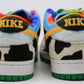 Nike SB Dunk Low Chunky Dunk Size 9.5